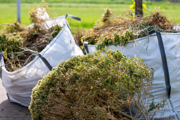 Professional Junk Removal Services in Oakland, SC